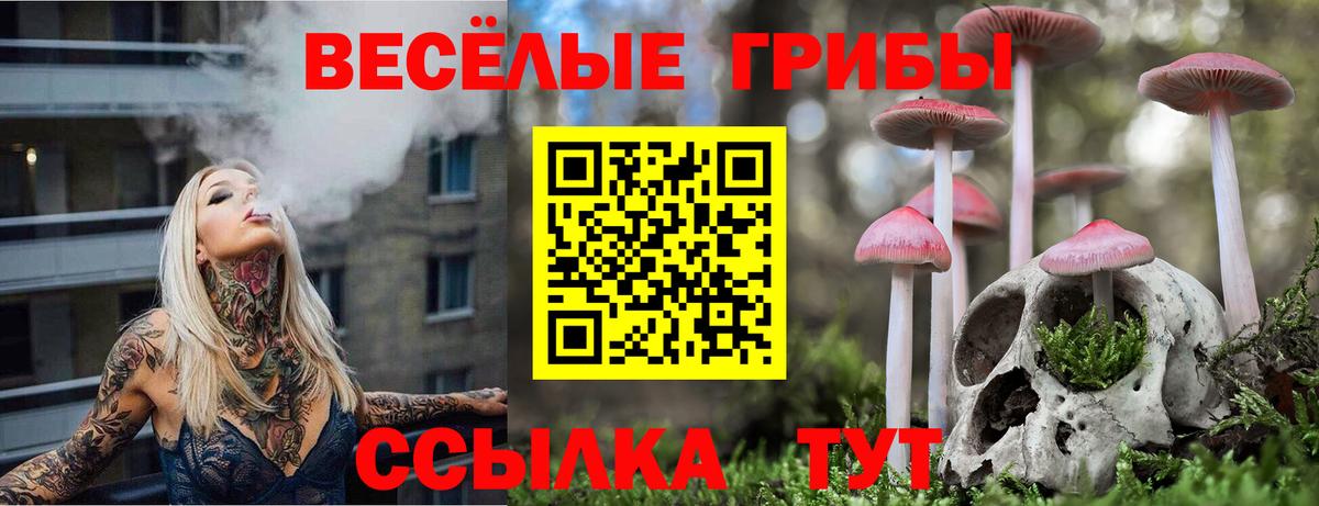 Сорочинск  Галлюциногенные грибы Psilocybe  Вход с VPN 